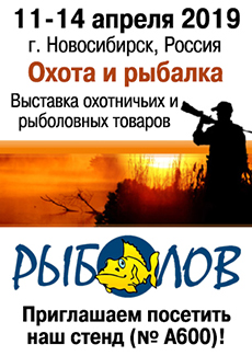 Vxstavka 2019