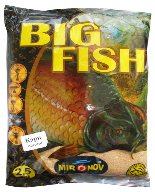 BigFish.jpg