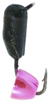Gvozdik kolokol Pink