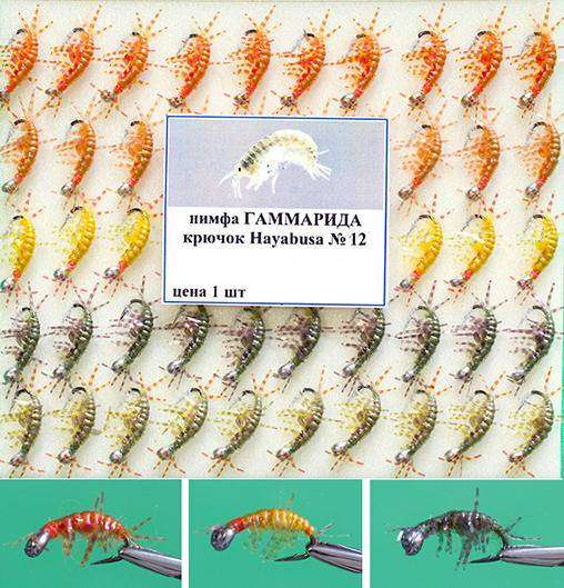 Gammarida